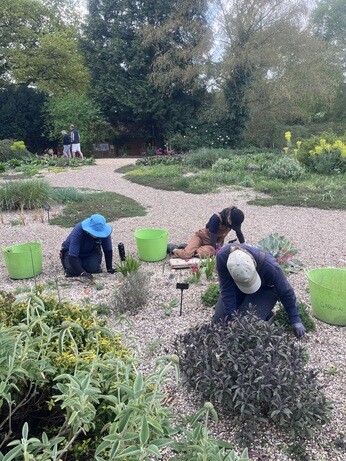 Weekly catch up with gardens & propagation Weekly catch up with gardens & propagation