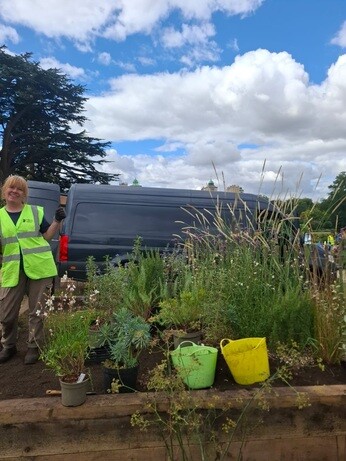 Weekly catch up with garden and propagation Weekly catch up with garden and propagation