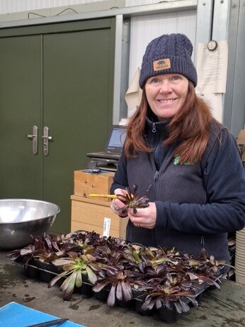 Weekly catch up with garden & propagation Weekly catch up with garden & propagation