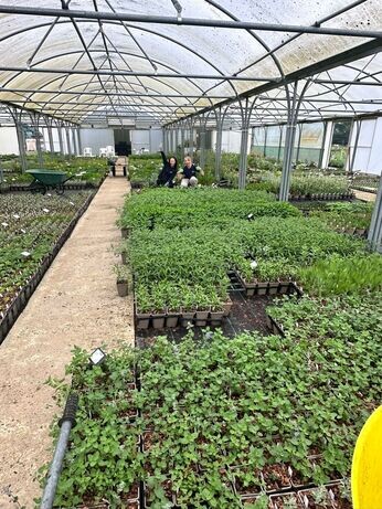 Propagation jobs this month Propagation jobs this month