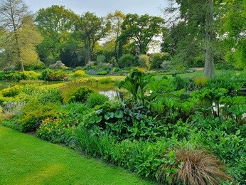 Fabulous foliage Fabulous foliage