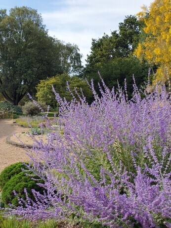 Gardening Dilemmas - Part 1 Gardening Dilemmas - Part 1
