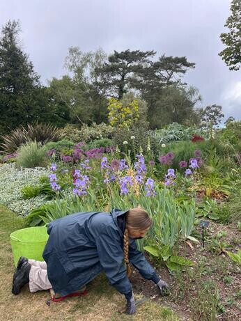 Weekly catch up with garden and propagation Weekly catch up with garden and propagation