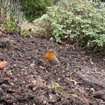 Wild Words from the Ground – February & March Wild Words from the Ground – February & March