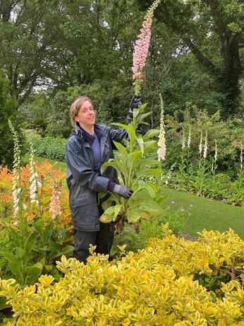 This week with the garden team- late May This week with the garden team- late May
