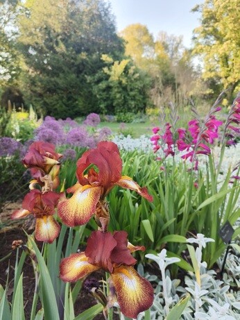 Weekly catch up with garden and propagation Weekly catch up with garden and propagation