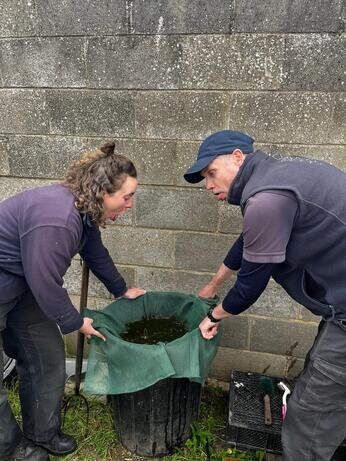 Weekly catch up with garden and propagation Weekly catch up with garden and propagation