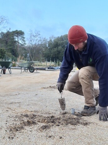 Weekly catch up with garden & propagation Weekly catch up with garden & propagation