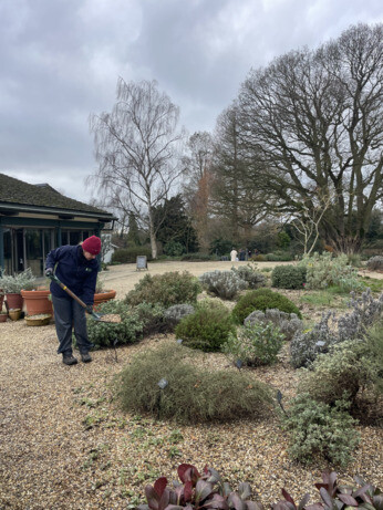Weekly catch up with garden & propagation Weekly catch up with garden & propagation