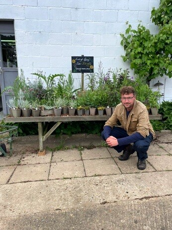 Weekly catch up with garden & propagation