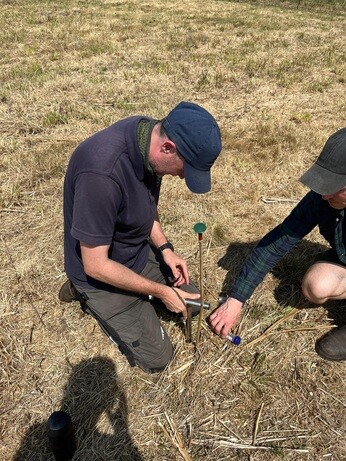 Weekly catch up with garden & propagation Weekly catch up with garden & propagation
