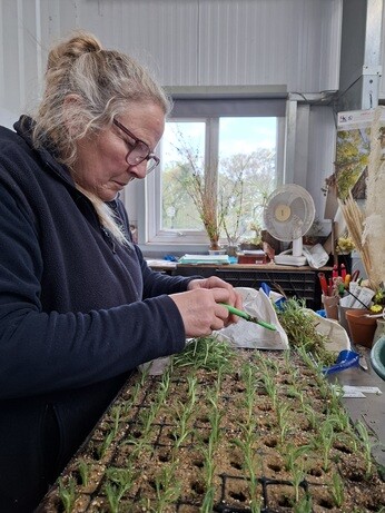 Weekly catch up with garden & propagation Weekly catch up with garden & propagation