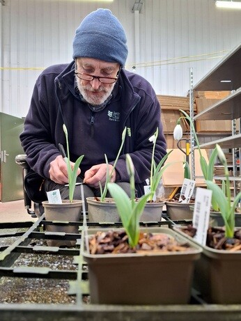 January news from the garden and propagation January news from the garden and propagation
