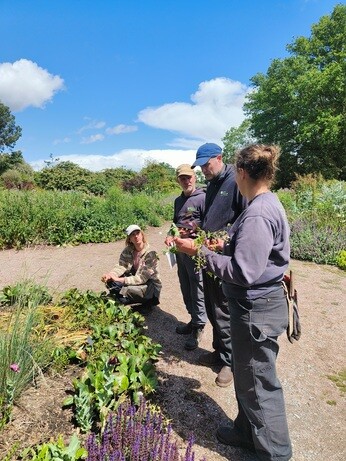 Weekly catch up with garden and propagation Weekly catch up with garden and propagation