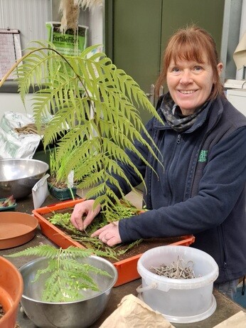Weekly catch up with garden & propagation Weekly catch up with garden & propagation