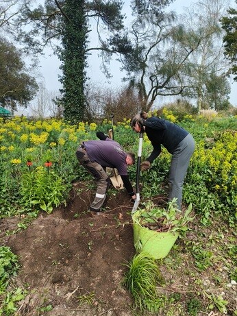Weekly catch up with garden & propagation Weekly catch up with garden & propagation