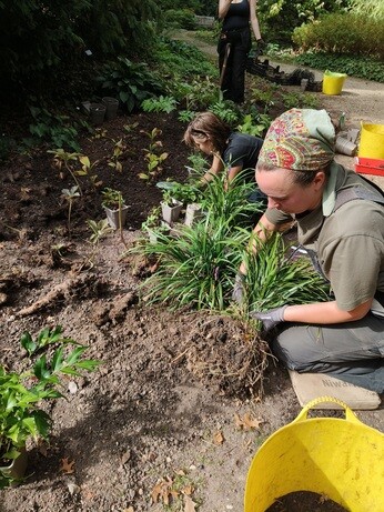 Weekly catch up with garden and propagation Weekly catch up with garden and propagation