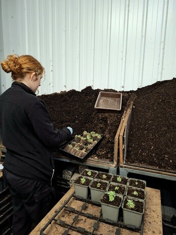 News from the garden and propagation News from the garden and propagation