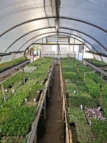 Weekly catch up with gardens & propagation Weekly catch up with gardens & propagation