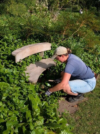 Weekly catch up with garden and propagation Weekly catch up with garden and propagation