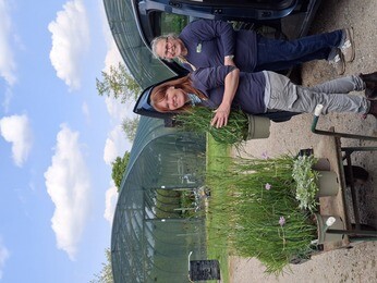 Weekly catch up with garden and propagation Weekly catch up with garden and propagation