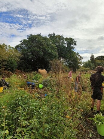Weekly catch up with garden and propagation Weekly catch up with garden and propagation