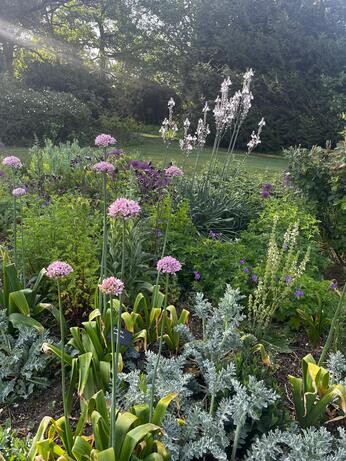 Weekly catch up with garden and propagation Weekly catch up with garden and propagation