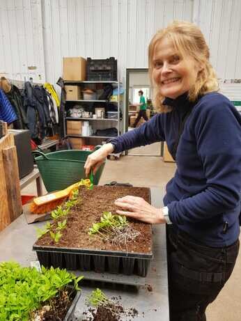 Weekly catch up with garden and propagation Weekly catch up with garden and propagation