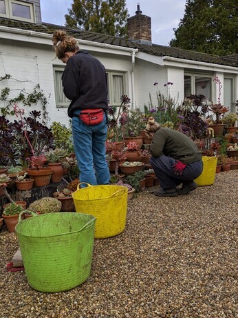 News from the garden and propagation News from the garden and propagation