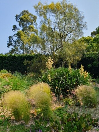 Weekly catch up with garden & propagation Weekly catch up with garden & propagation
