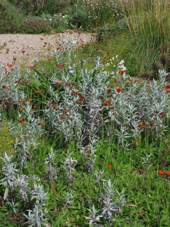 Fabulous foliage Fabulous foliage