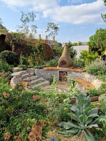 Weekly catch up with garden and propagation Weekly catch up with garden and propagation
