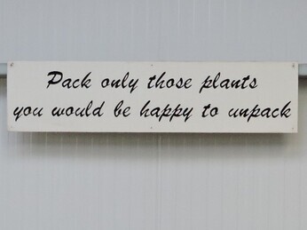 What to Expect When Ordering Plants What to Expect When Ordering Plants