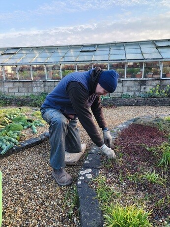Weekly catch up with garden & propagation Weekly catch up with garden & propagation