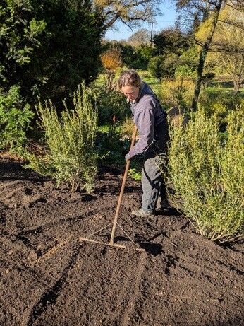 Weekly catch up with gardens & propagation Weekly catch up with gardens & propagation