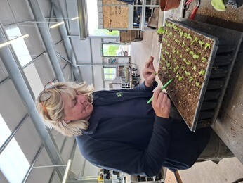 Weekly catch up with garden and propagation Weekly catch up with garden and propagation