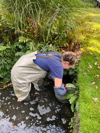 Autumn jobs in the garden Autumn jobs in the garden