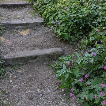 Wild Words from the Ground - May Wild Words from the Ground - May