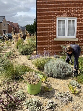 Weekly catch up with garden & propagation Weekly catch up with garden & propagation