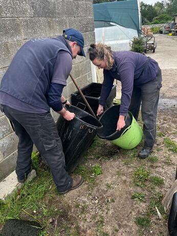 Weekly catch up with garden and propagation Weekly catch up with garden and propagation