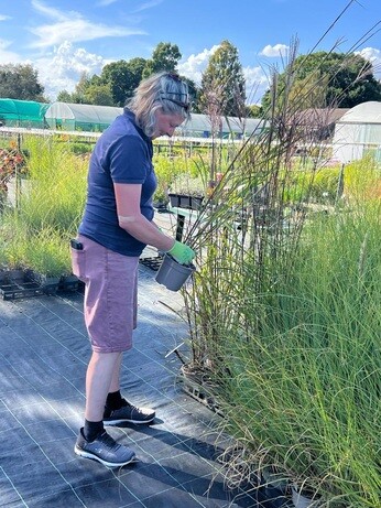 Weekly catch up with garden & propagation Weekly catch up with garden & propagation