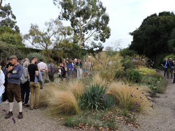 The Beth Chatto Symposium- 'Rewilding the Mind' The Beth Chatto Symposium- 'Rewilding the Mind'