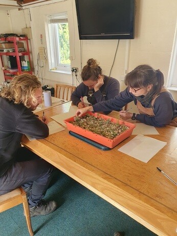 Weekly catch up with garden & propagation Weekly catch up with garden & propagation