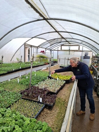 Weekly catch up with gardens & propagation Weekly catch up with gardens & propagation