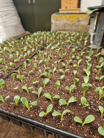 Propagation jobs this month Propagation jobs this month