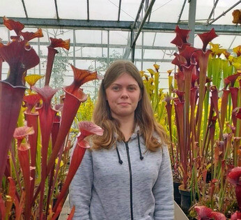 The Chelsea Flower Show 2023 The Chelsea Flower Show 2023