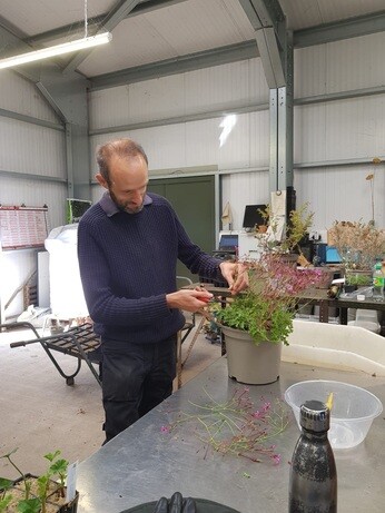 Weekly catch up with garden and propagation Weekly catch up with garden and propagation