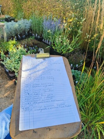 Weekly catch up with garden and propagation Weekly catch up with garden and propagation