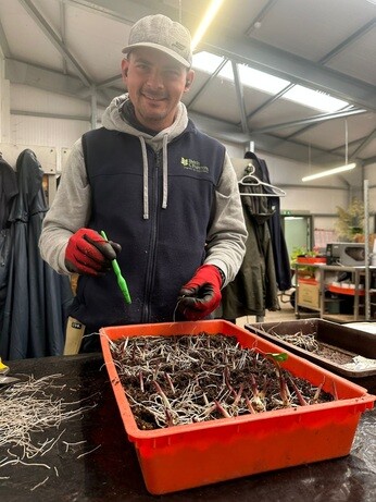 Weekly catch up with garden & propagation Weekly catch up with garden & propagation