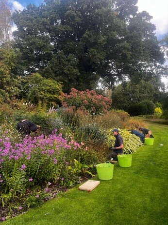 Weekly catch up with garden & propagation Weekly catch up with garden & propagation
